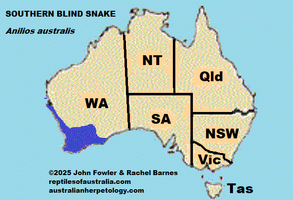 Approximate distribution of the Southern Blind Snake Anilios australis 